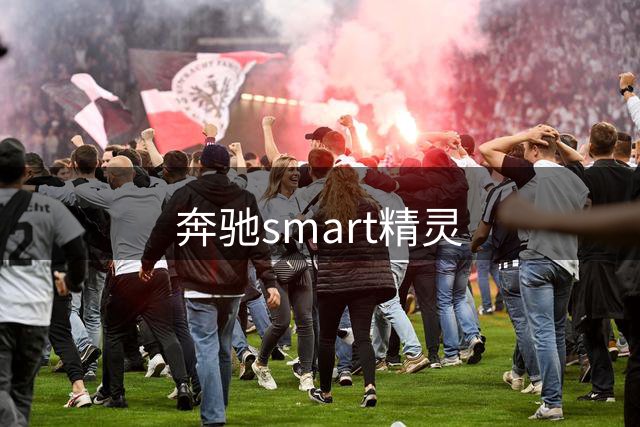 奔驰smart精灵#2即将亮相巴黎车展 预计年内交付