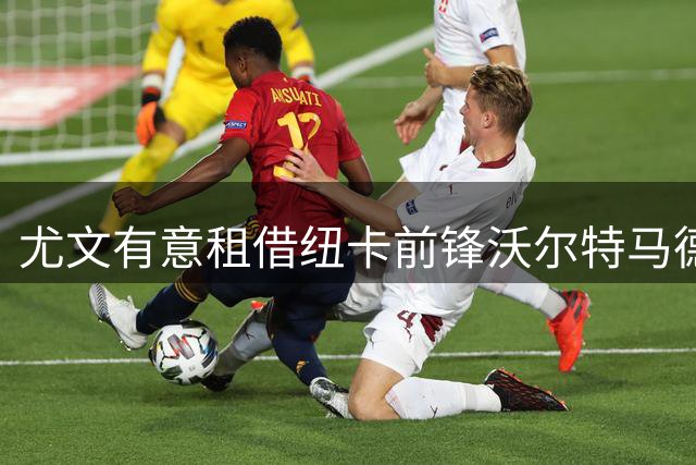 尤文有意租借纽卡前锋沃尔特马德